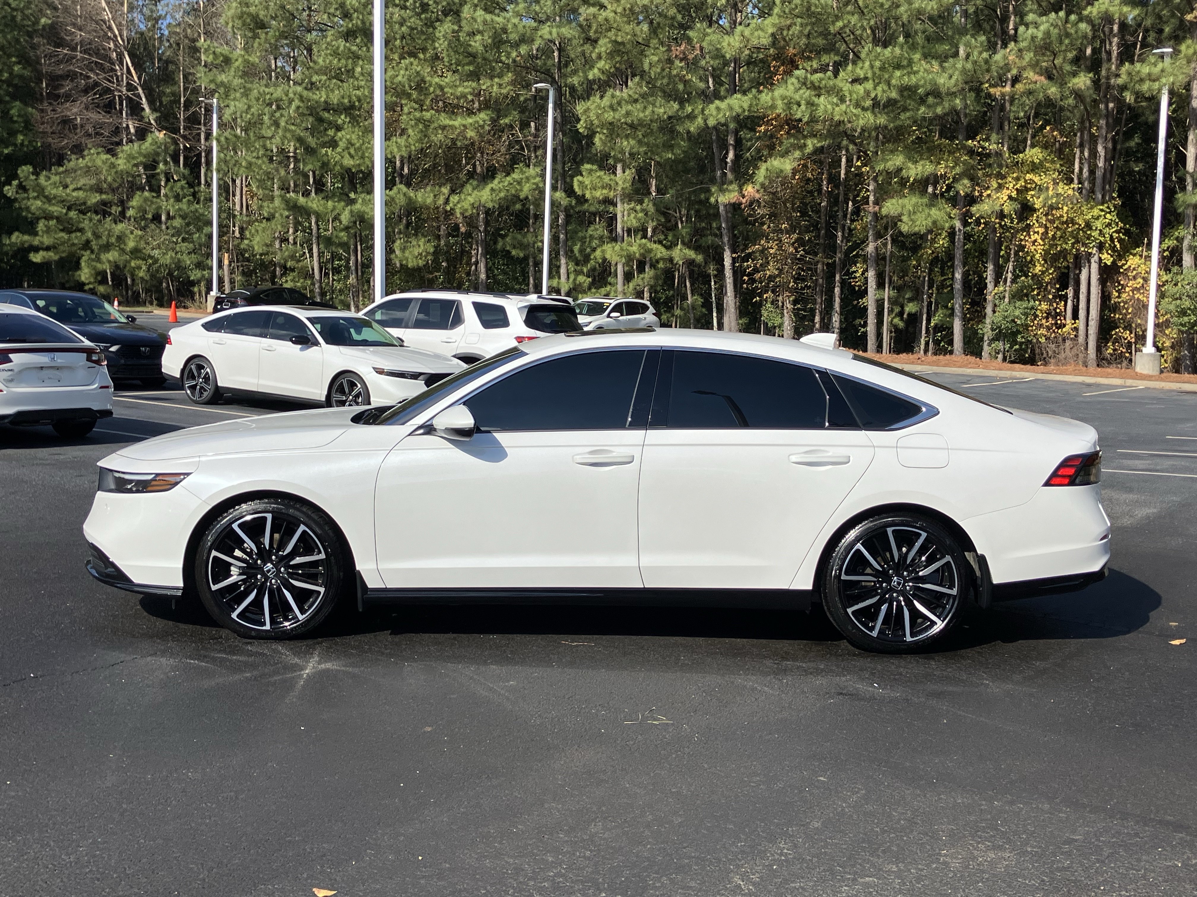 Used 2025 Honda Accord Touring image 7