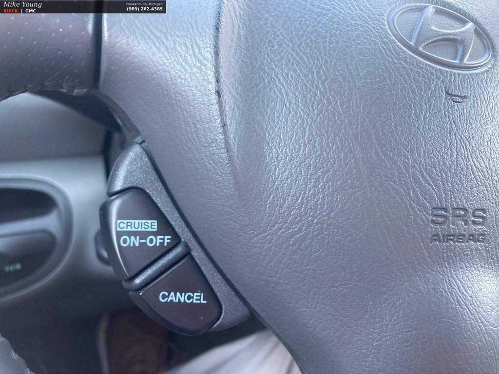 Used 2003 Hyundai Santa Fe GLS AWD/4WD image 20