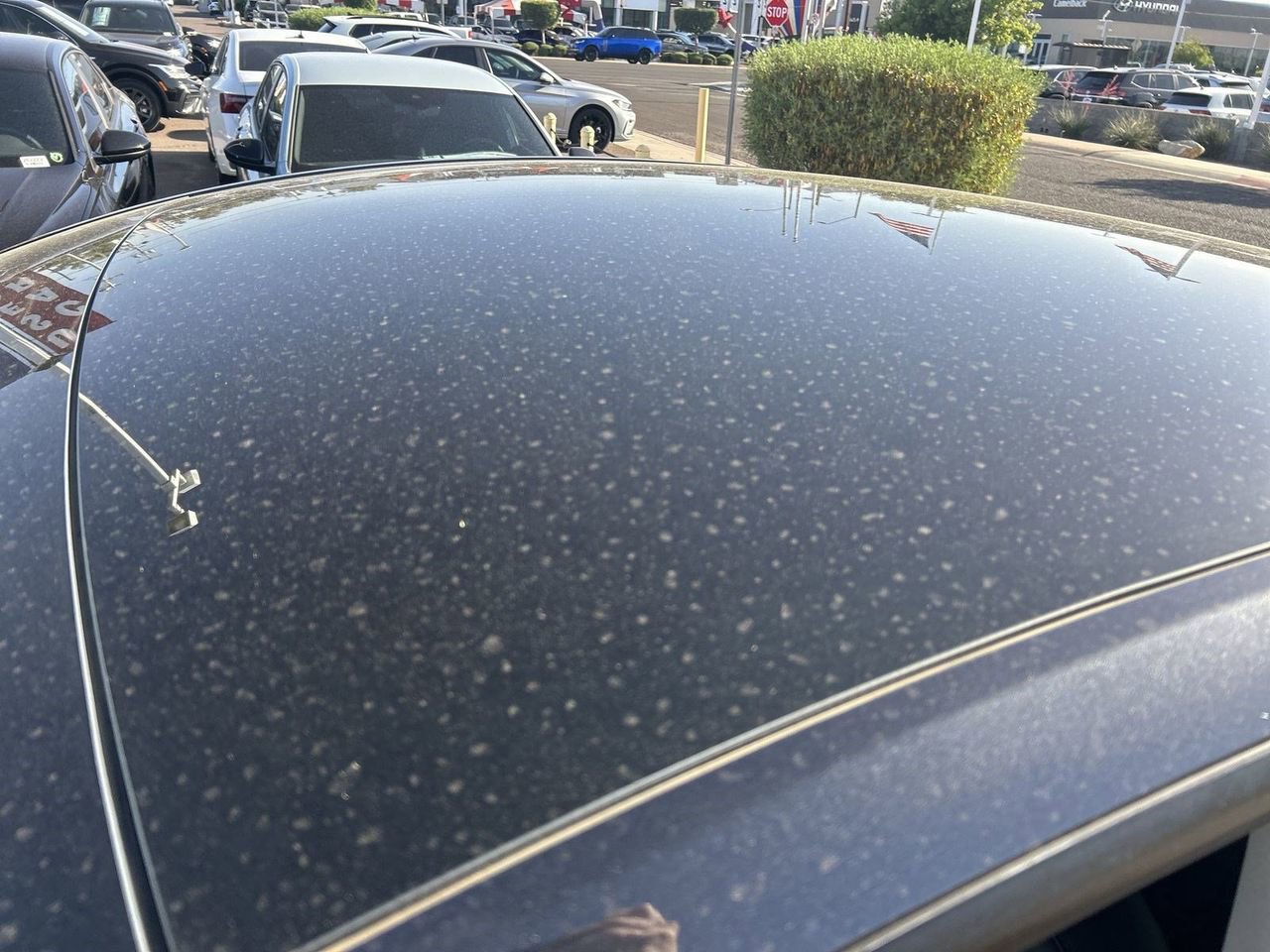 Used 2024 Tesla Model Y Long Range RWD image 19