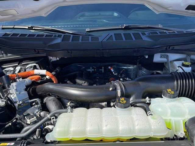 Used 2025 Ford F150 XLT w/ Equipment Group 302A MID image 12