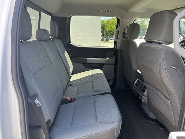 New 2025 Ford F150 XLT w/ Equipment Group 302A MID image 6
