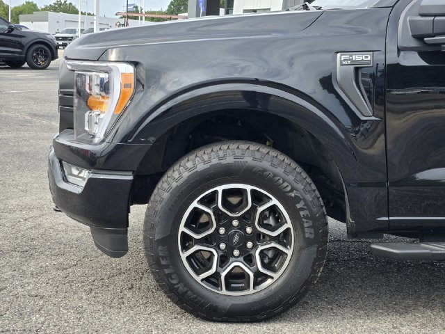 Used 2023 Ford F150 XLT w/ Equipment Group 302A High AWD/4WD image 9