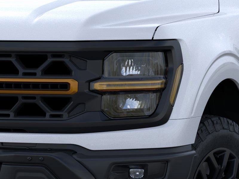 New 2025 Ford F150 Tremor image 19