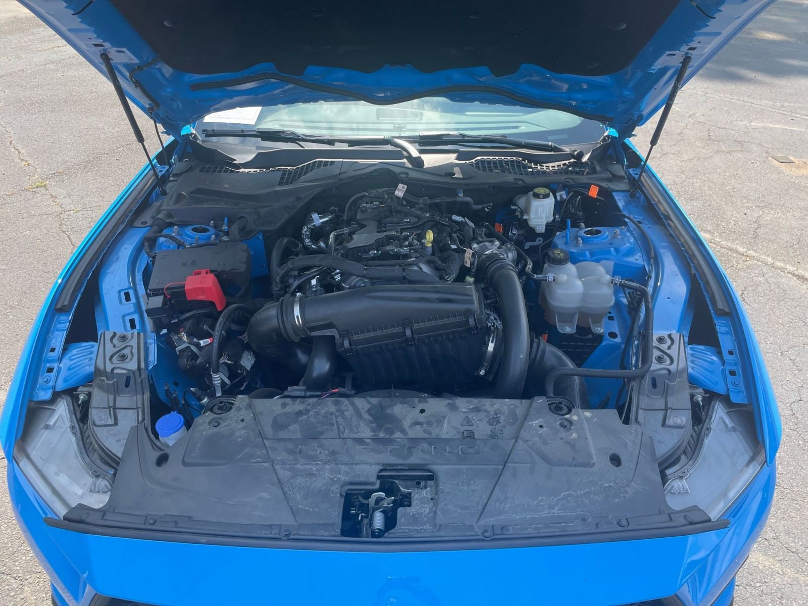 Used 2024 Ford Mustang Premium image 31