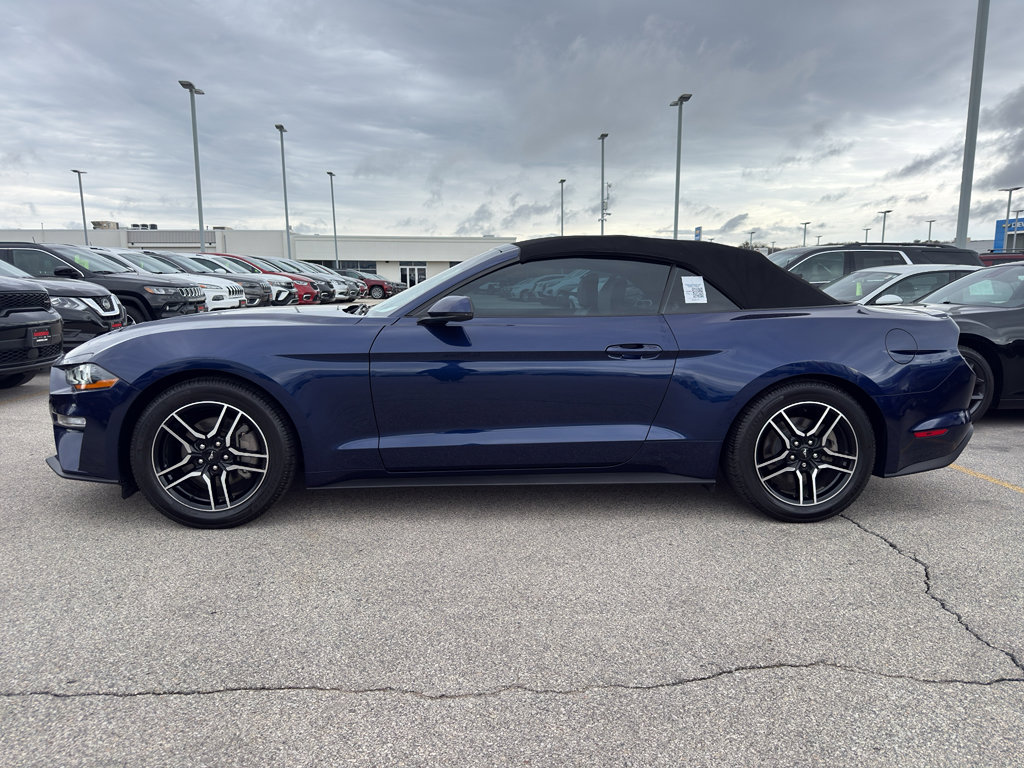 Used 2019 Ford Mustang Premium RWD image 6
