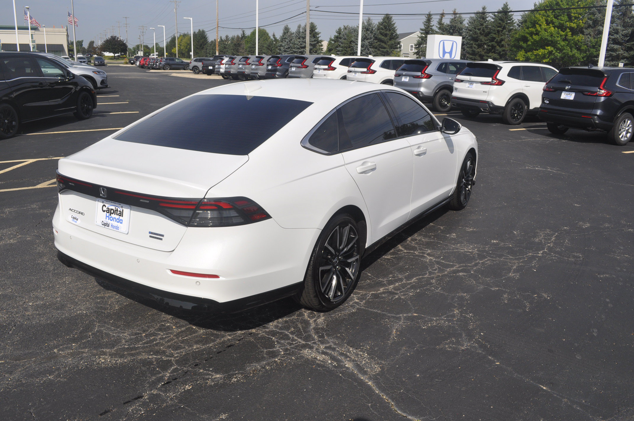 Certified 2025 Honda Accord Touring image 7
