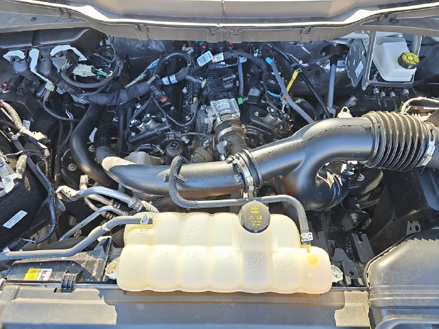 Certified 2025 Ford F150 XLT w/ Equipment Group 301A Standard RWD image 30