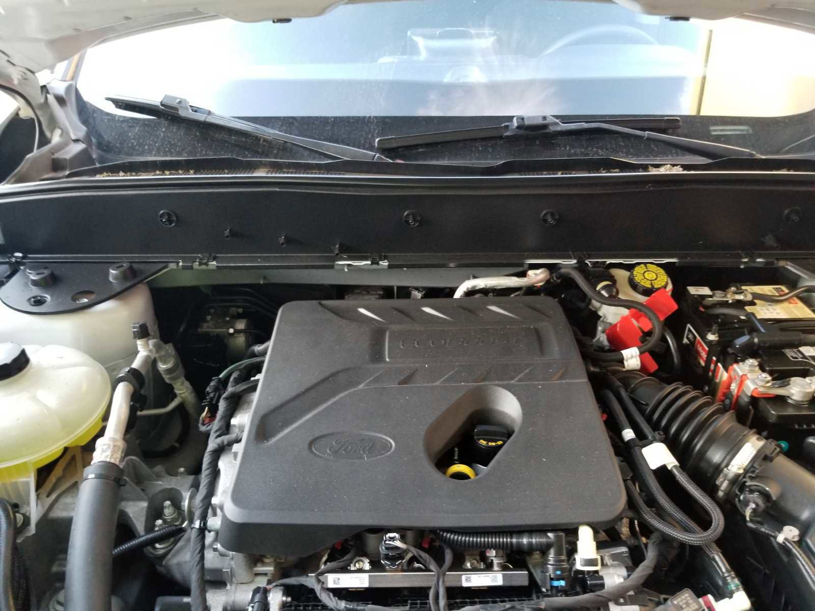 Used 2021 Ford Bronco Sport image 14