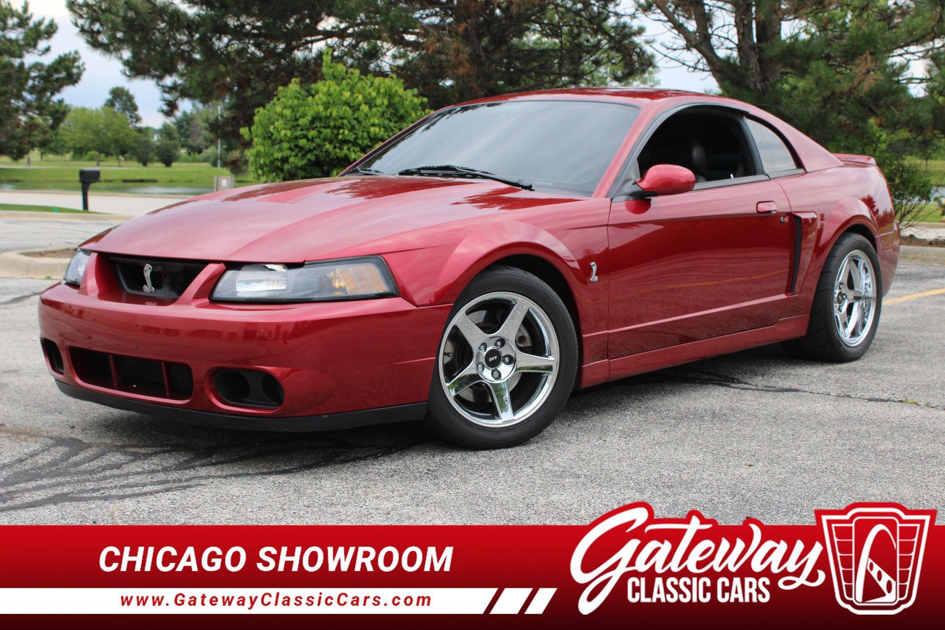 Used 2003 Ford Mustang Cobra