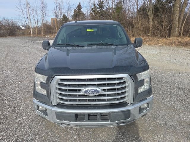 Used 2016 Ford F150 XLT w/ Equipment Group 302A Luxury image 14