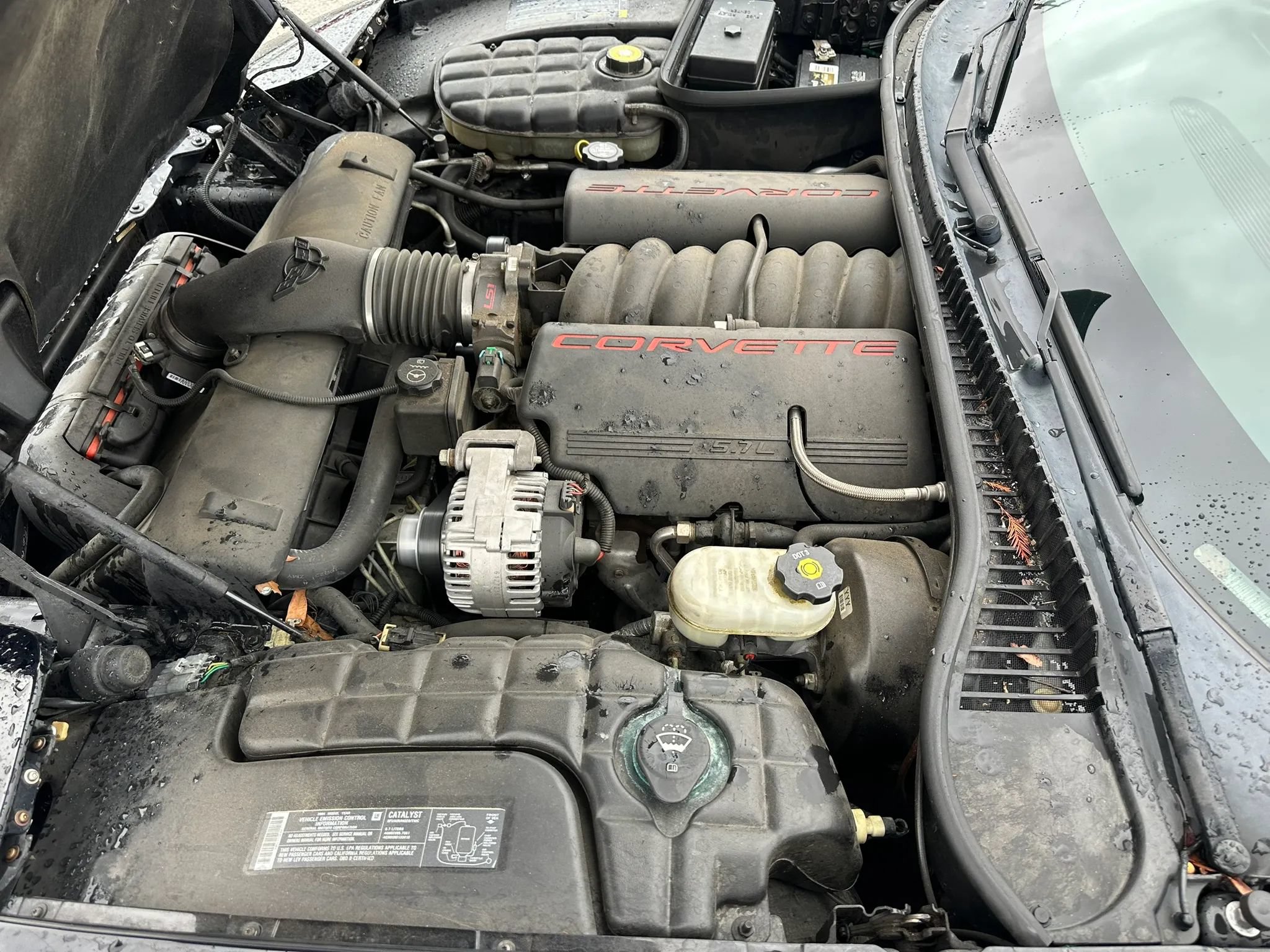 Used 2004 Chevrolet Corvette Coupe RWD image 13