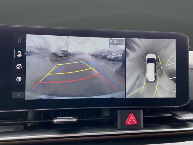 New 2026 Kia Carnival SX Prestige image 11