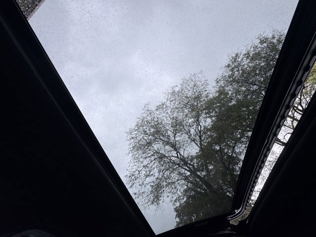 Used 2023 Kia Forte GT-Line w/ GT-Line Premium Package image 21