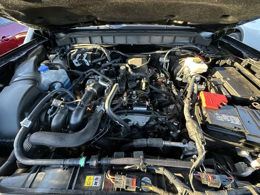 Used 2024 Ford Bronco Everglades image 25