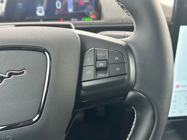 New 2025 Ford Mustang Mach-E GT image 25