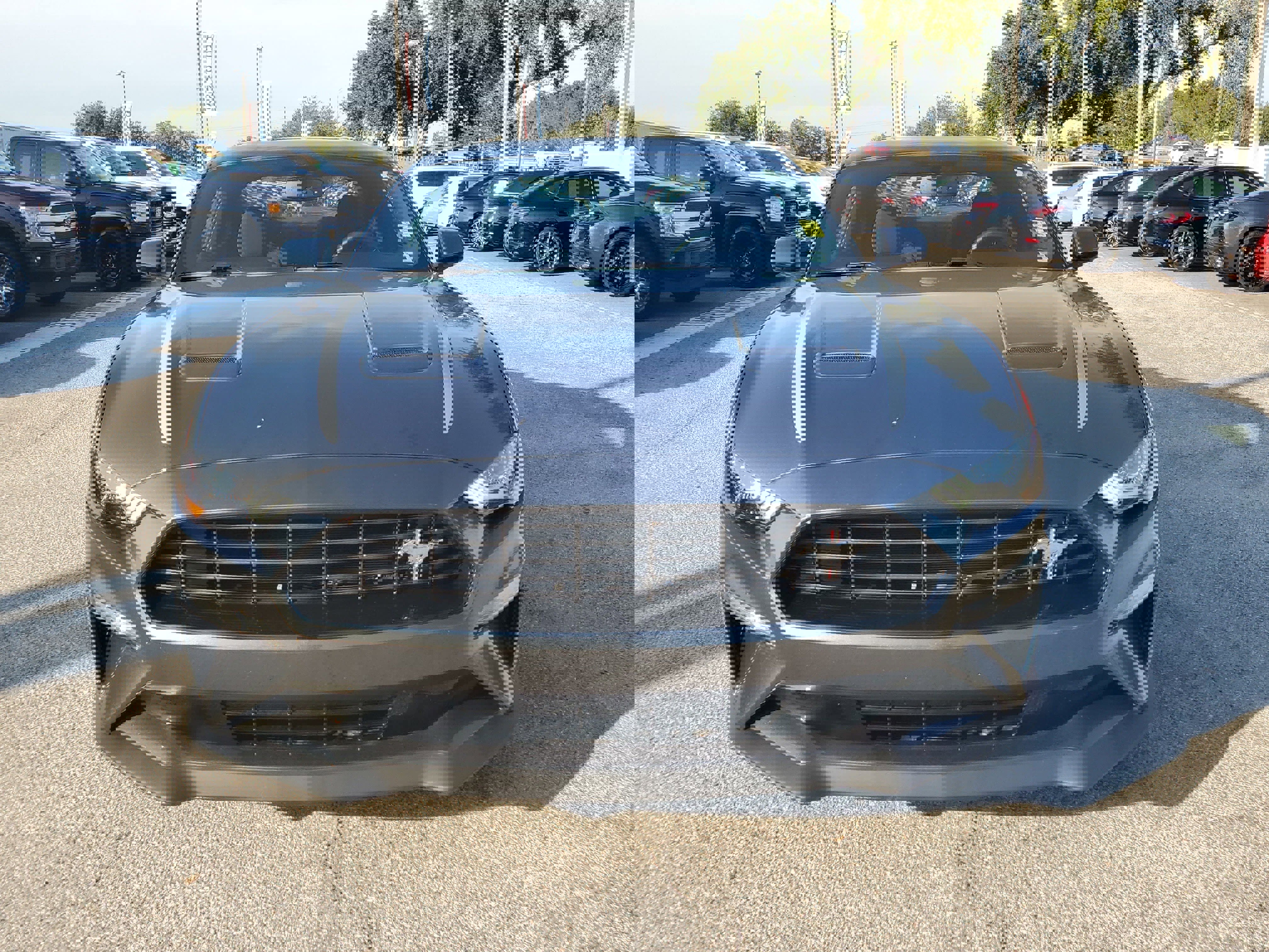 Used 2020 Ford Mustang EcoBoost w/ 2.3L High Performance Package image 2