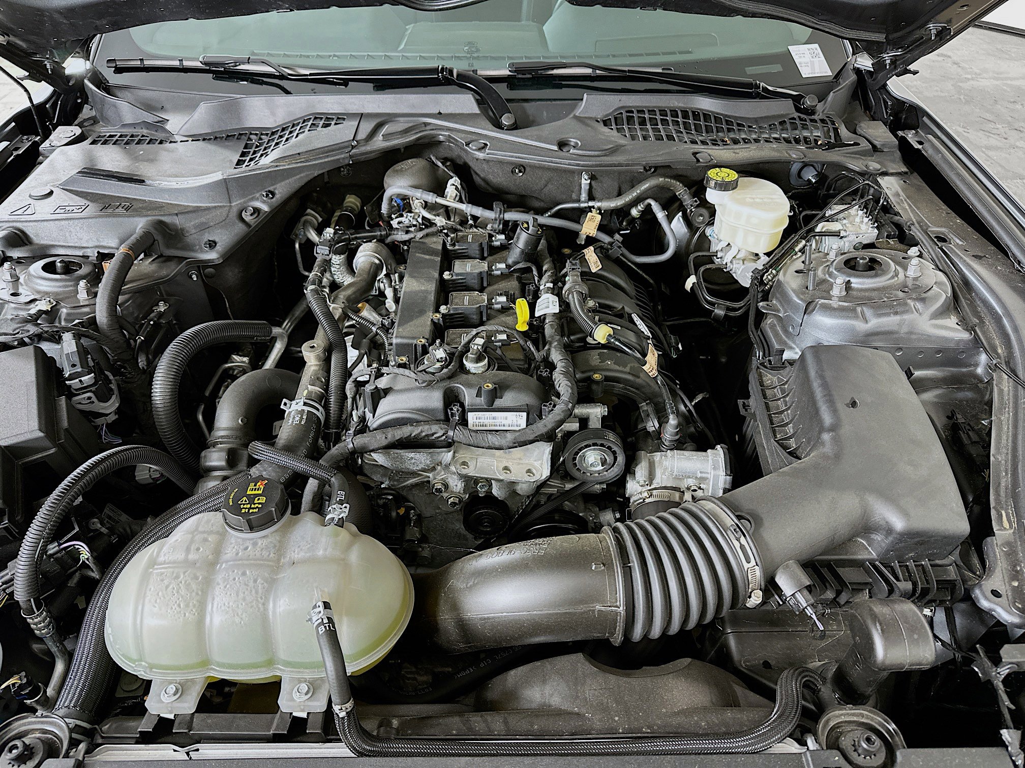 Used 2021 Ford Mustang Coupe image 29