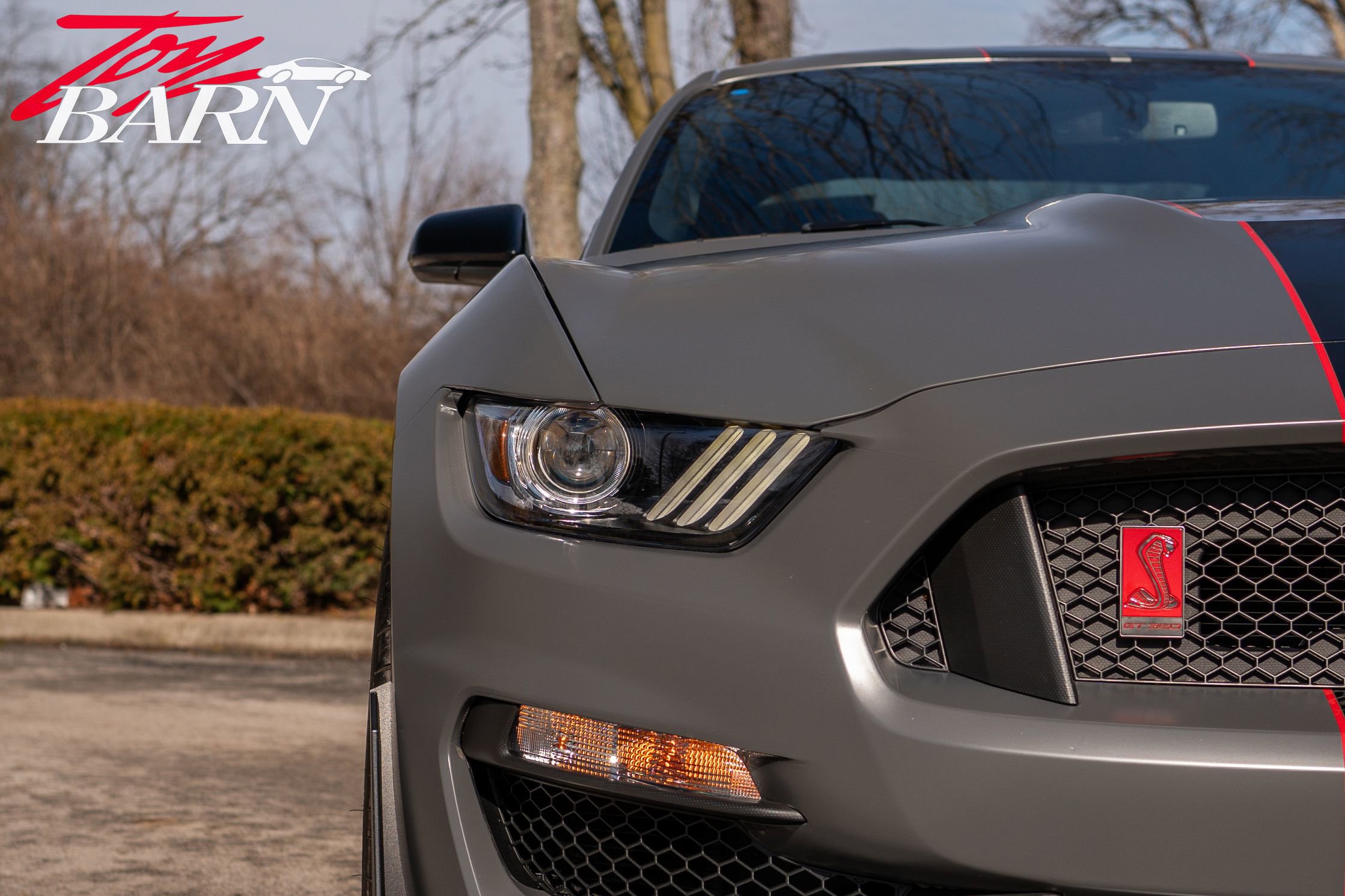 Used 2018 Ford Mustang Shelby GT350R w/ GT350R Equipment Group 920A image 6