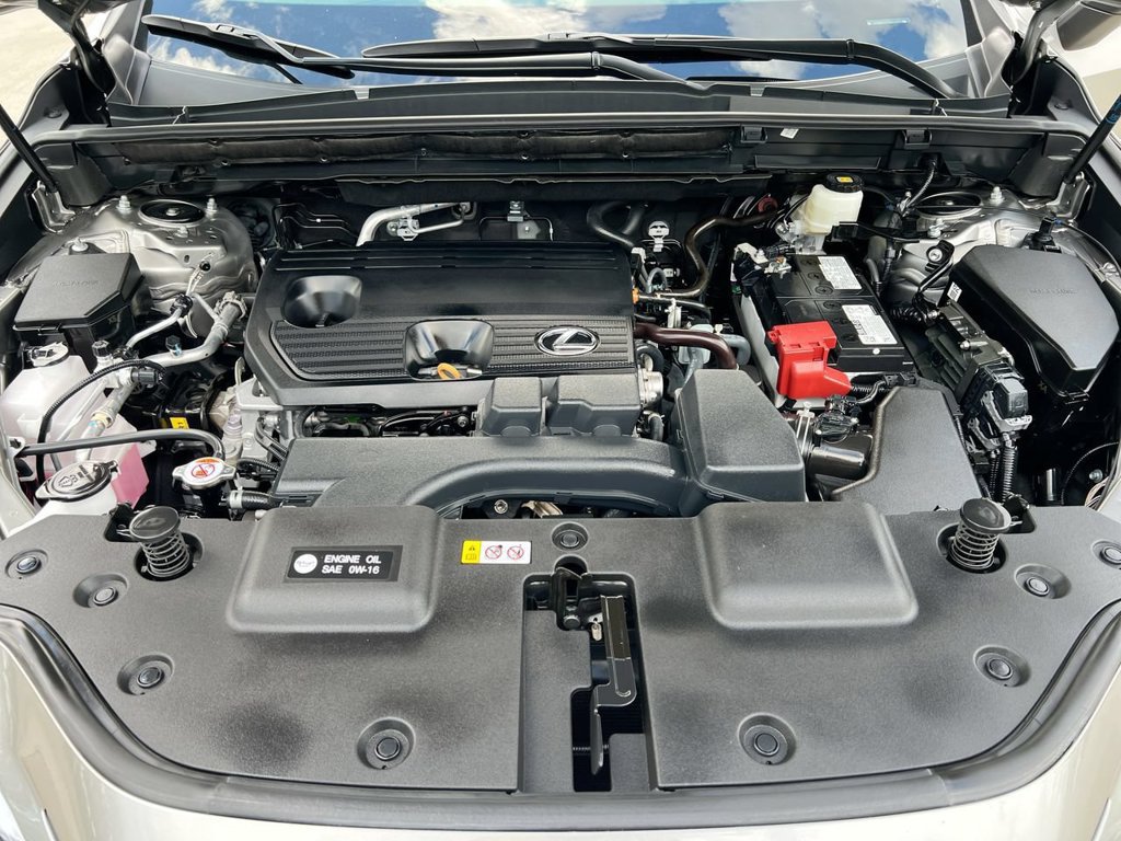 Certified 2025 Lexus NX 250 FWD w/ Accessory Package (2T) image 10
