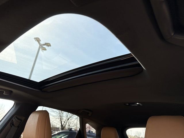 Used 2024 Lexus RX 350 350h Premium Plus w/ Convenience Package image 14