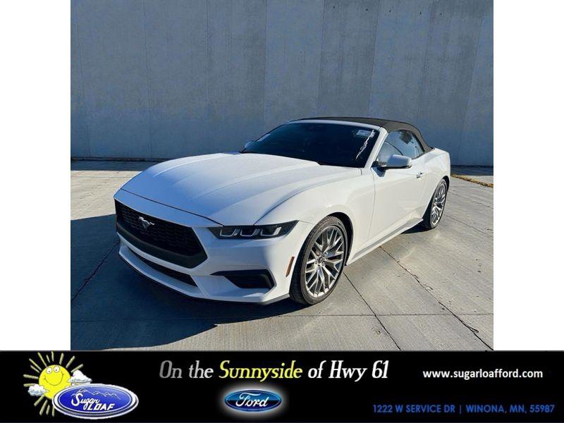 Used 2024 Ford Mustang Premium image 1