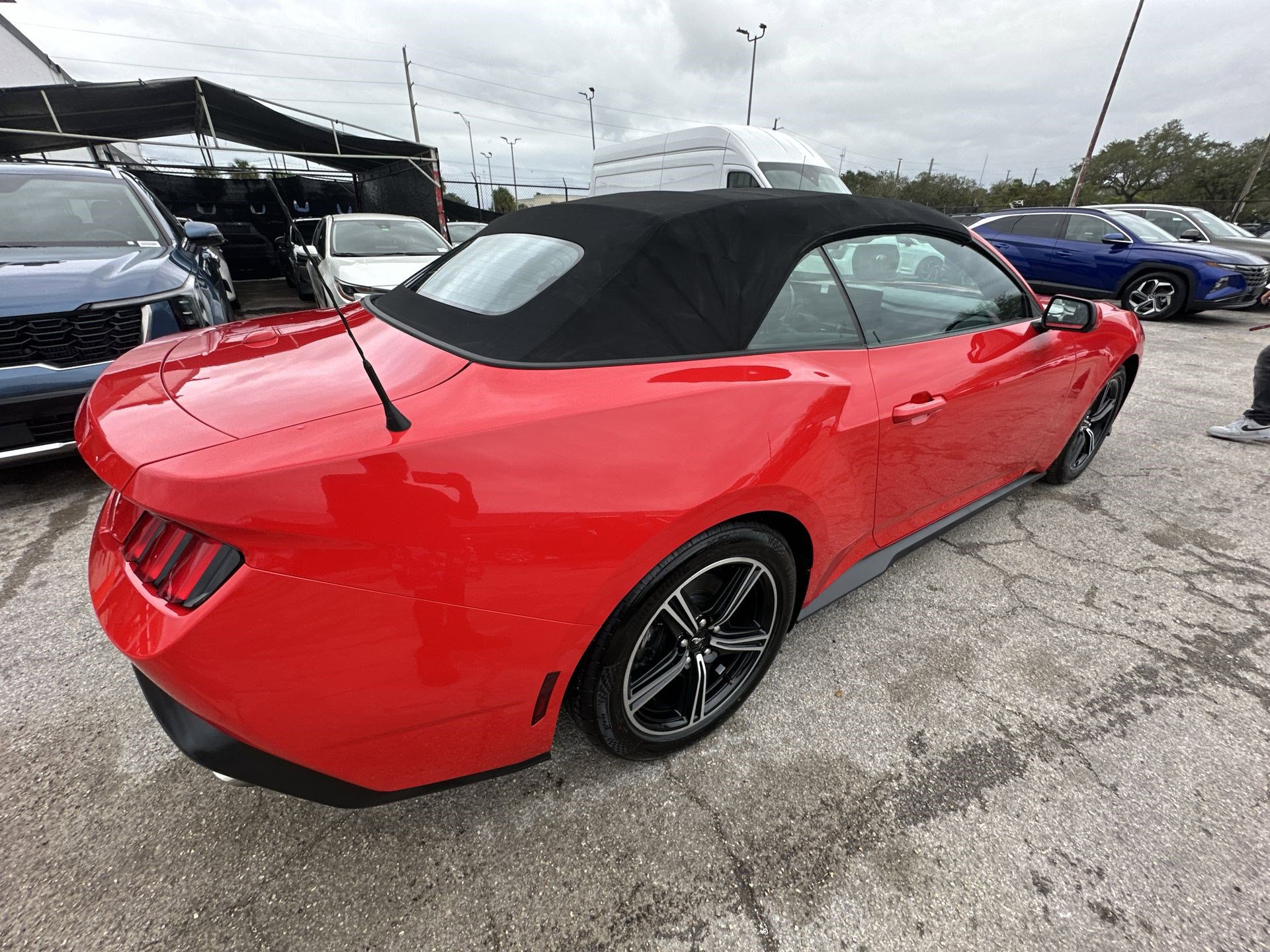 Used 2024 Ford Mustang Convertible image 22