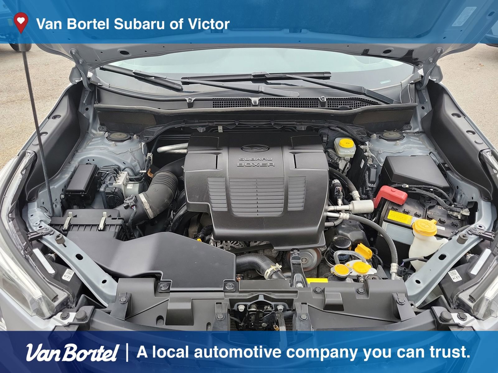 Certified 2023 Subaru Forester Premium image 11