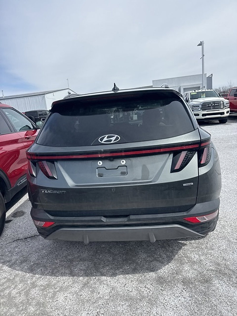 Used 2023 Hyundai Tucson Limited w/ Cargo Package AWD/4WD image 12