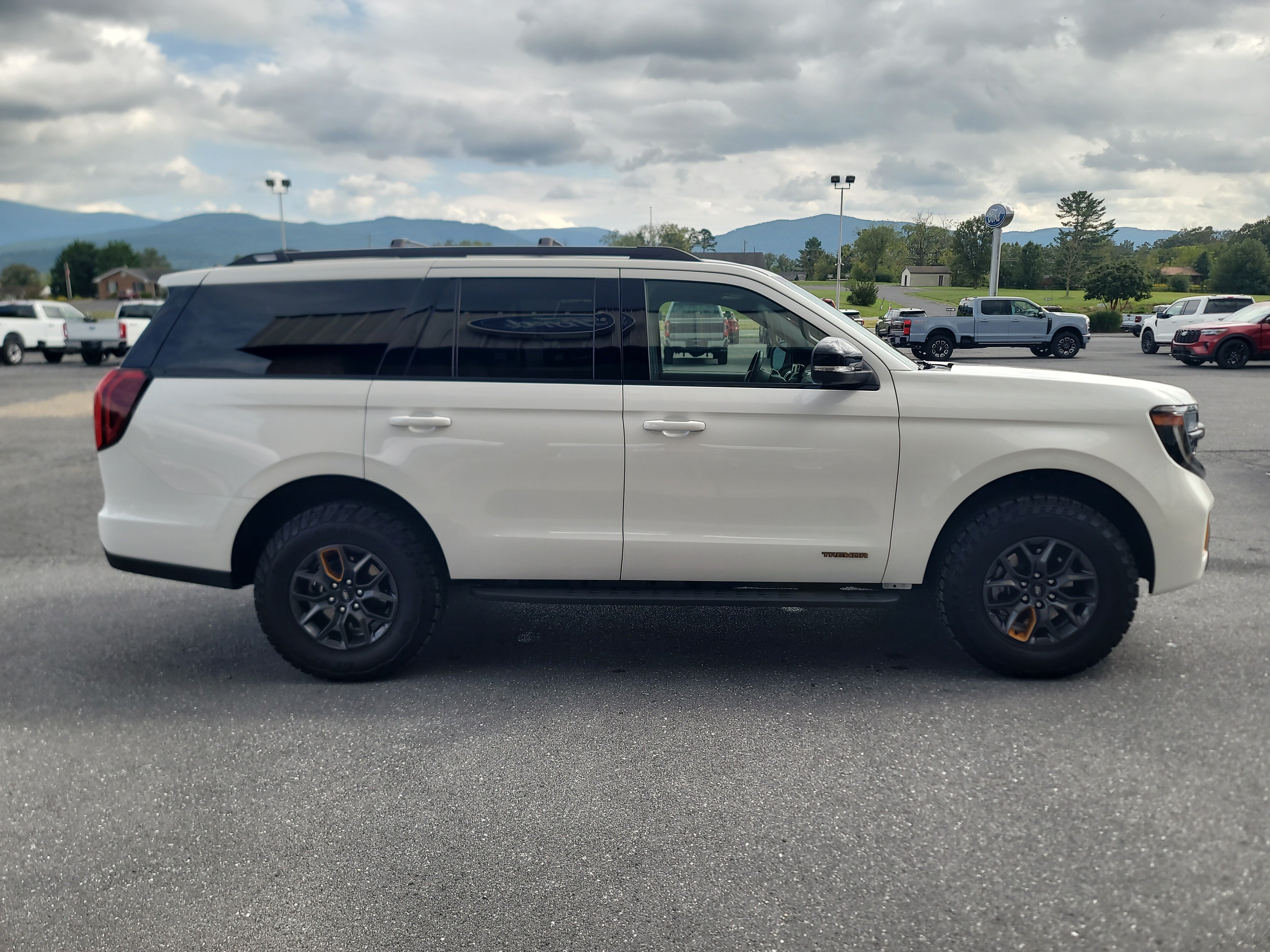 Used 2025 Ford Expedition Tremor AWD/4WD image 5