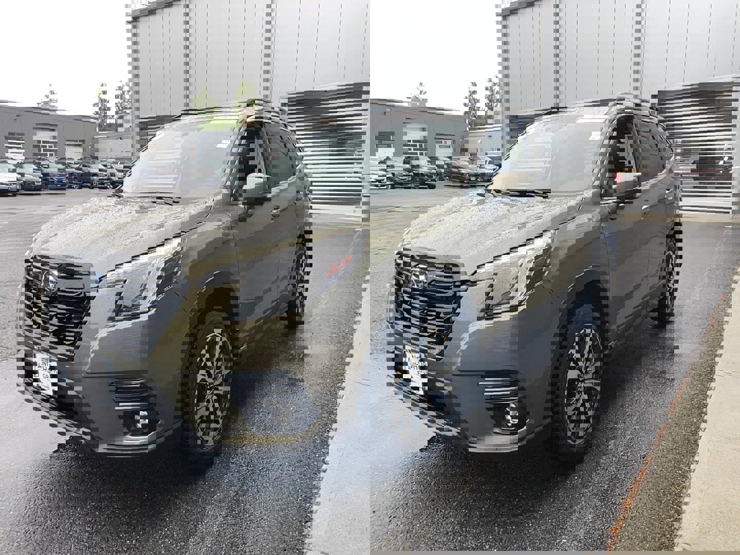 Used 2024 Subaru Forester Limited image 3