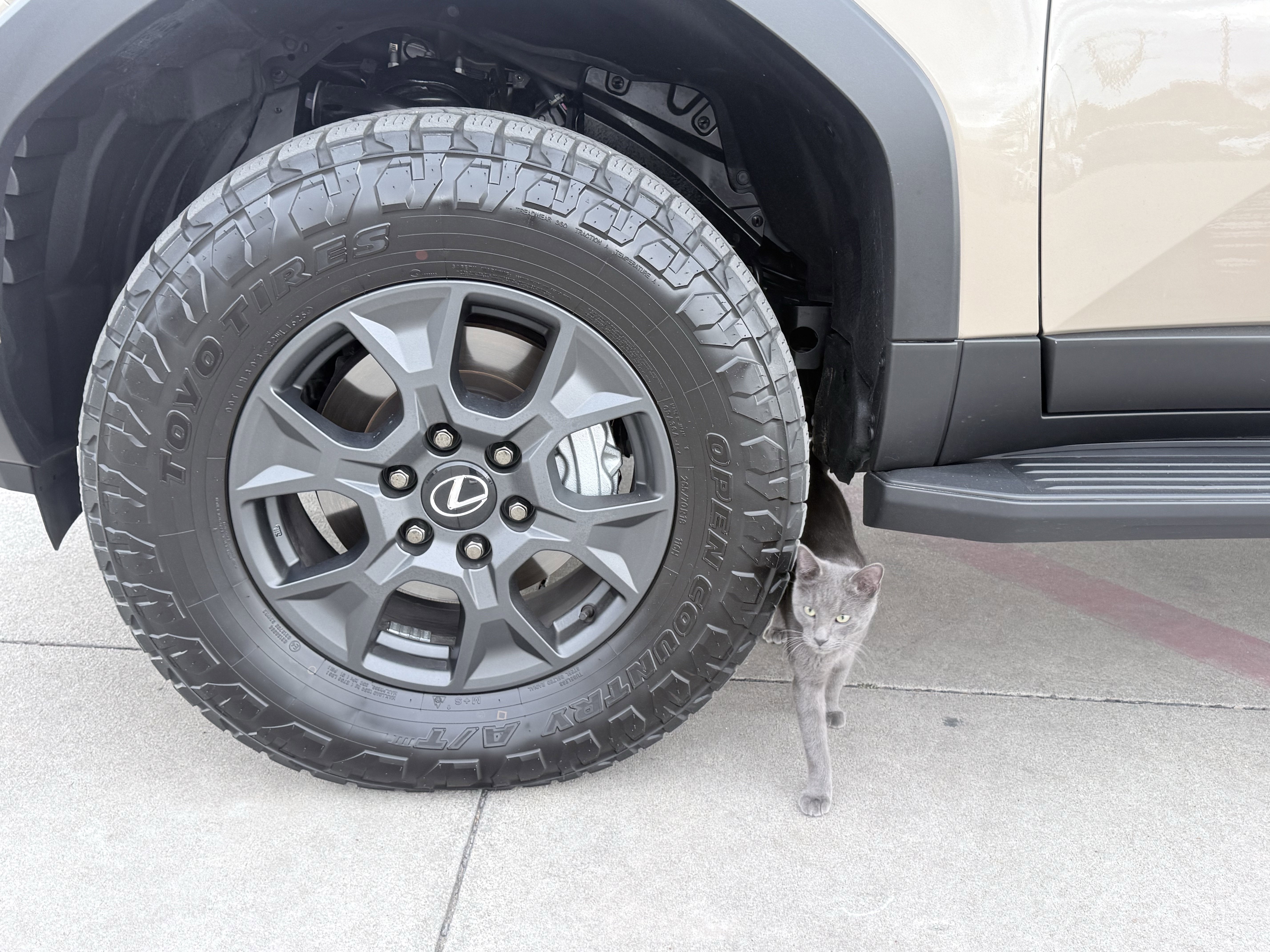 Used 2025 Lexus GX 550 image 22