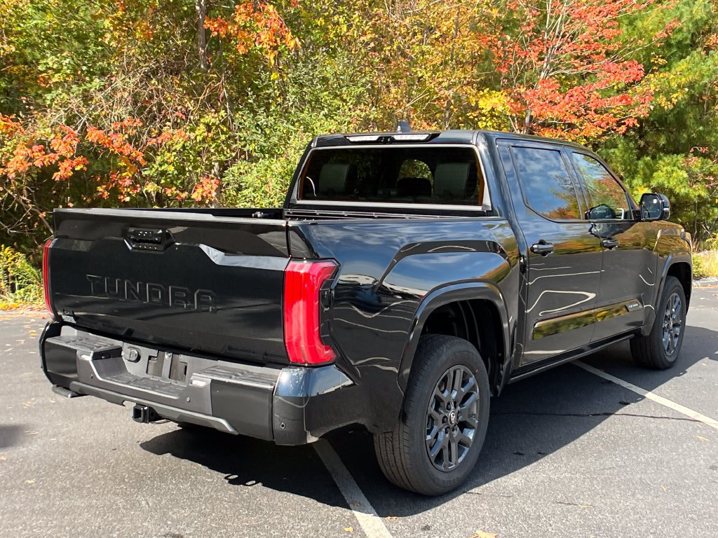 New 2026 Toyota Tundra Platinum AWD/4WD image 5