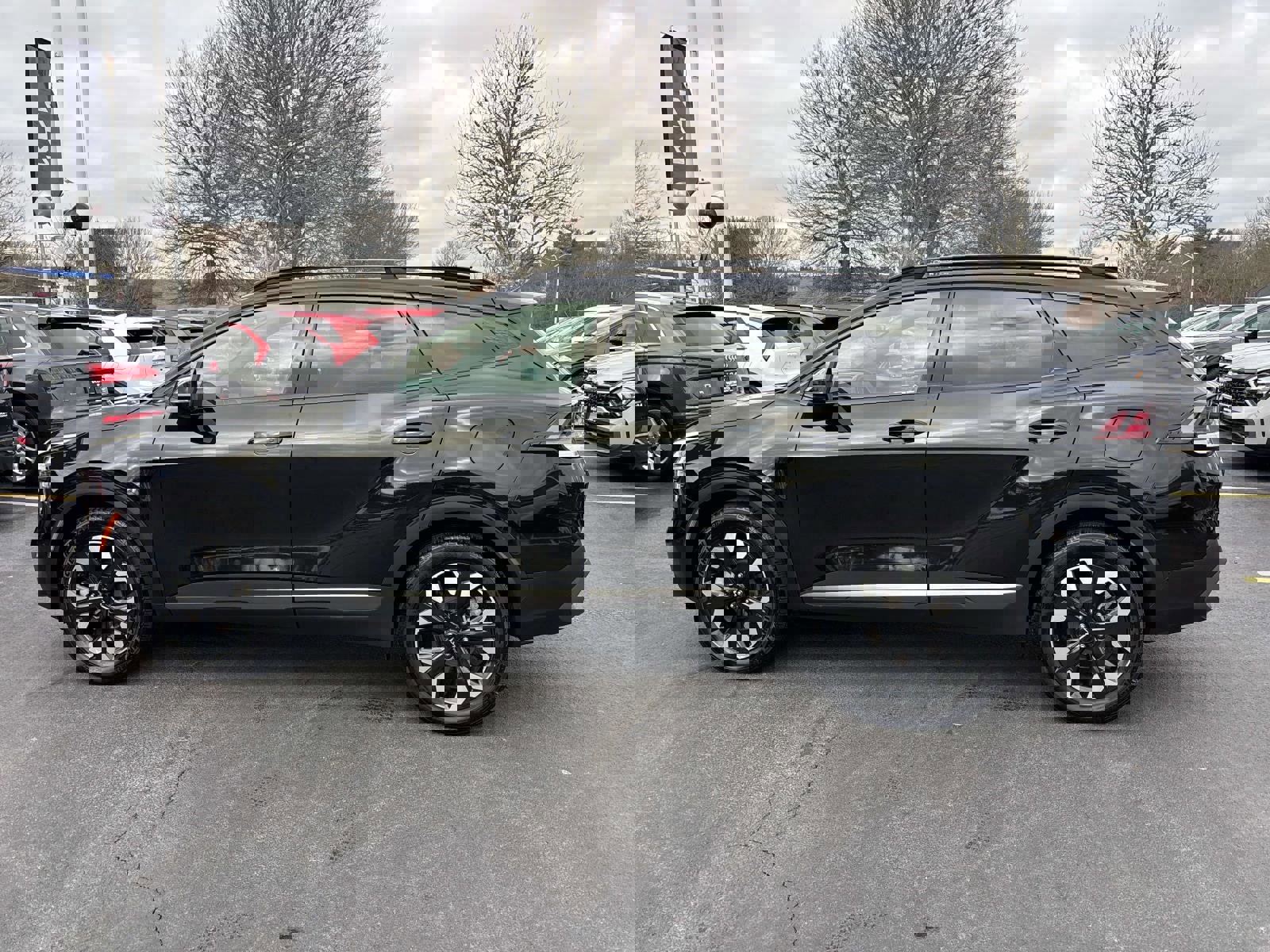 Used 2023 Kia Sportage X-Line Prestige image 2