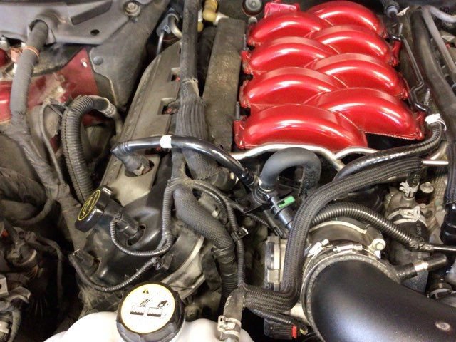Used 2015 Ford Mustang GT Premium RWD image 23