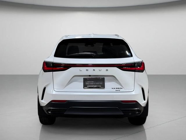 Used 2025 Lexus NX 350h AWD w/ Cold Area Package image 4