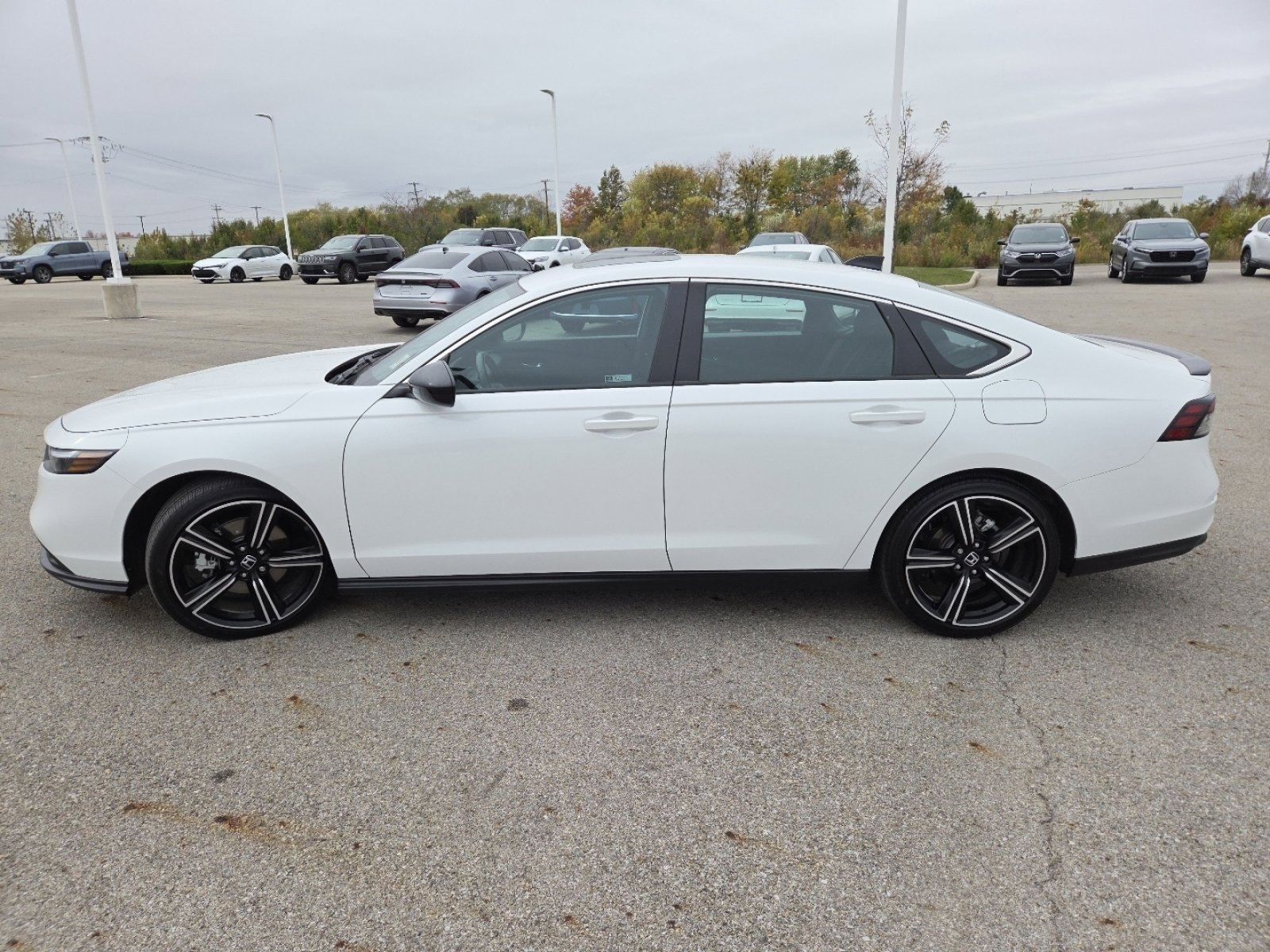 Used 2025 Honda Accord Sport image 14