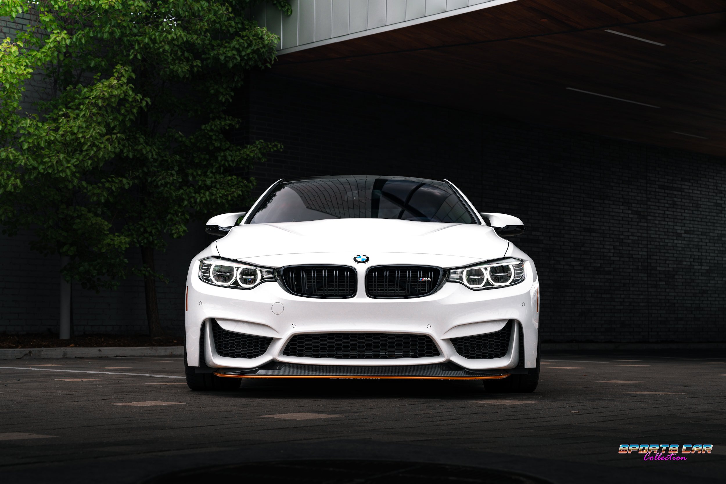 Used 2016 BMW M4 GTS RWD image 9
