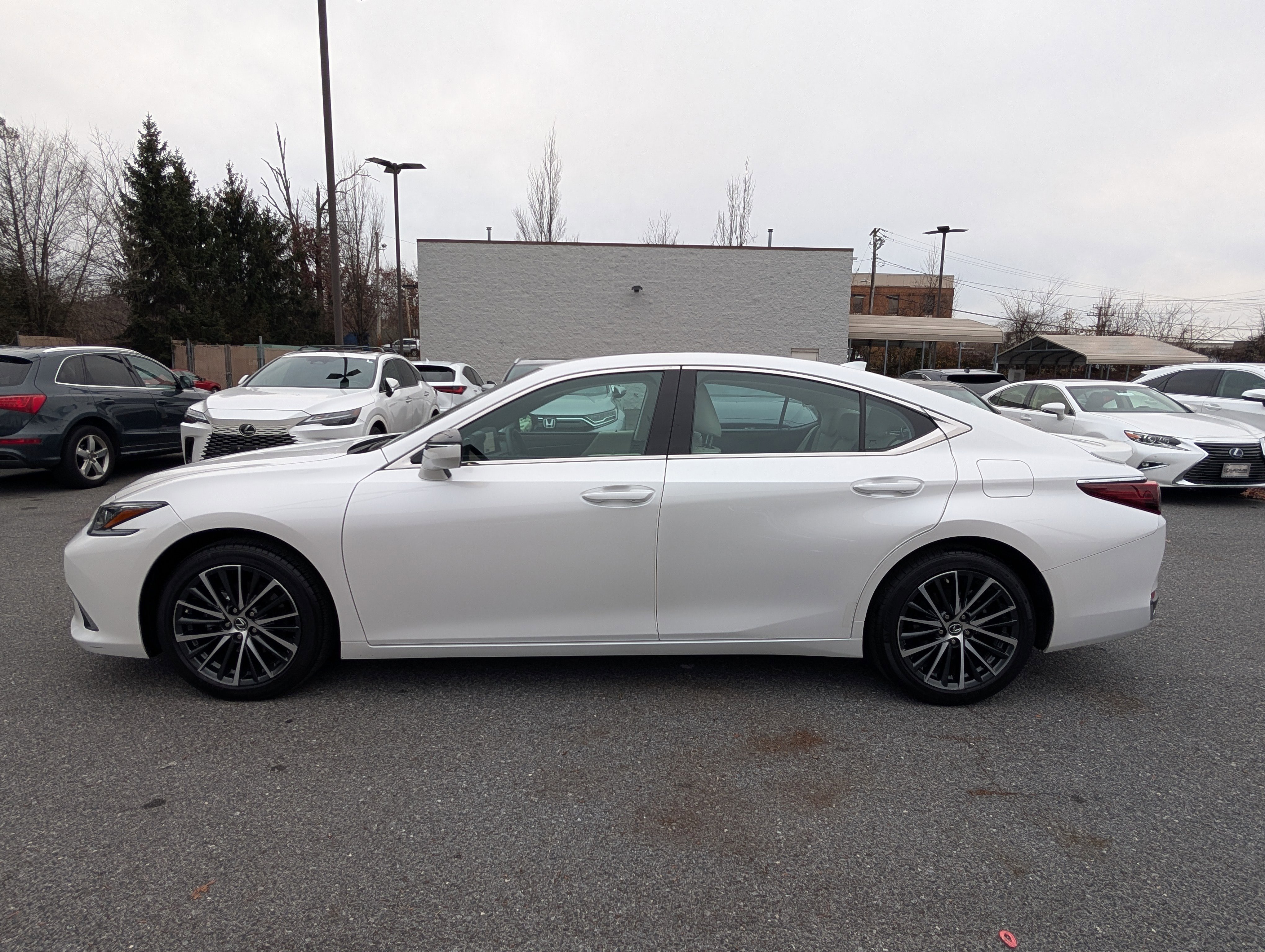 Certified 2025 Lexus ES 300h w/ Premium Package image 6