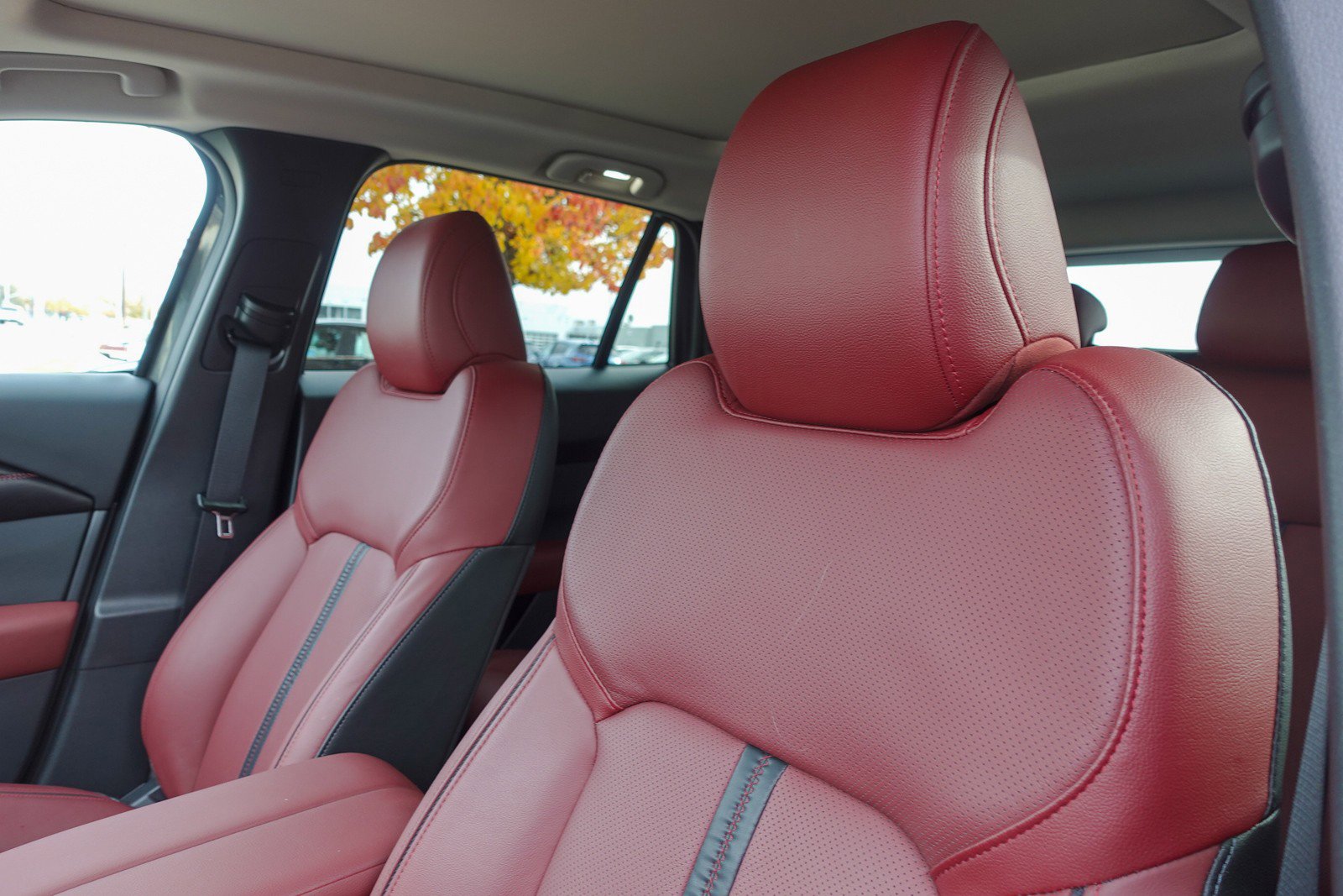 Certified 2025 MAZDA CX-50 2.5 Hybrid w/ Premium Plus Pkg image 10