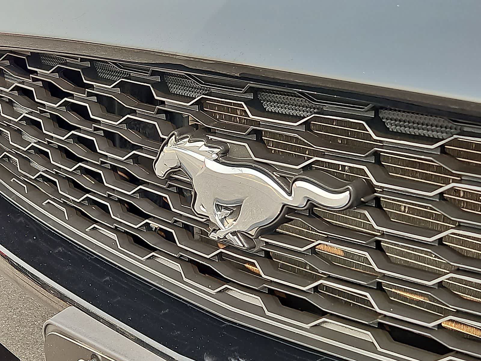 Used 2015 Ford Mustang Coupe RWD image 34
