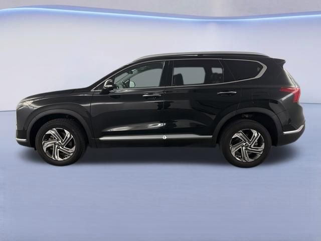 Used 2023 Hyundai Santa Fe SEL w/ Premium Package image 5