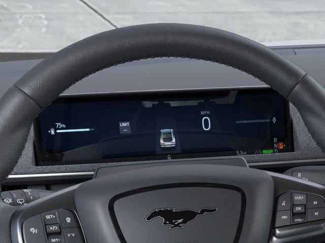 New 2025 Ford Mustang Mach-E Premium w/ Interior Protection Package image 13