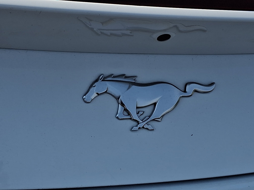 Used 2024 Ford Mustang Premium RWD image 16