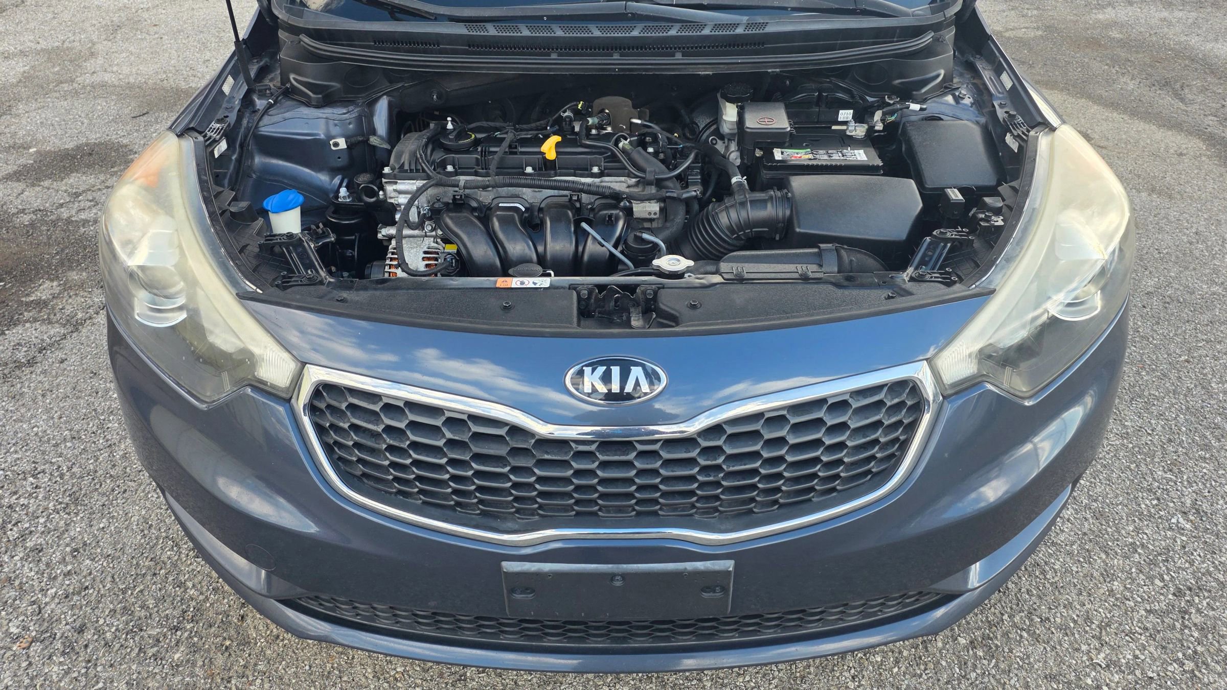 Used 2016 Kia Forte EX w/ EX Premium Technology Package image 22