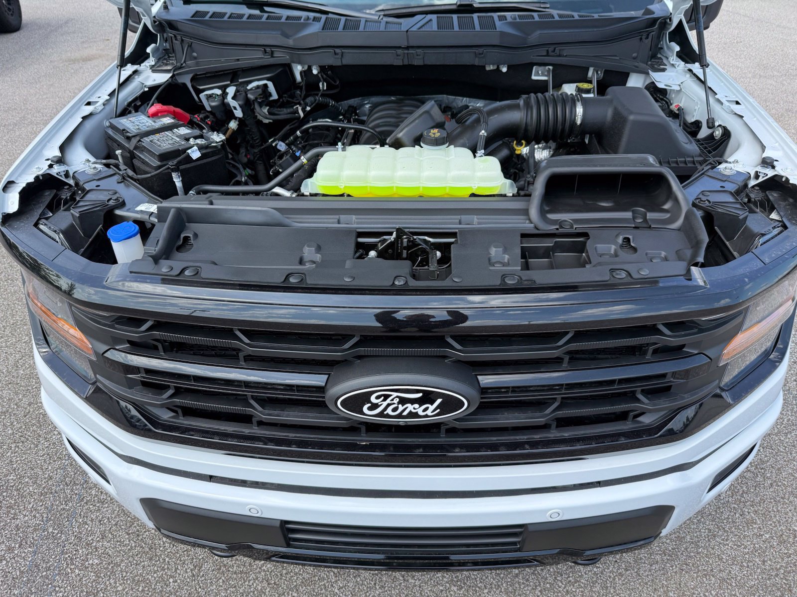 New 2026 Ford F150 XLT w/ Equipment Group 302A MID AWD/4WD image 42