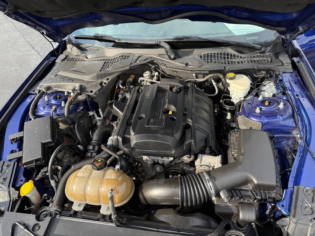 Used 2015 Ford Mustang Premium w/ Equipment Group 201A image 32