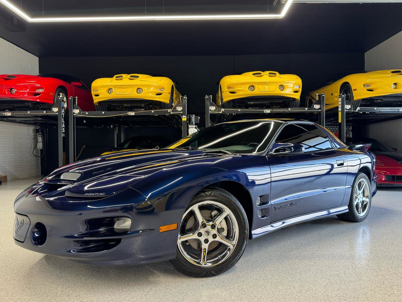 Used 2002 Pontiac Firebird Trans Am w/ SLP Firehawk Pkg RWD image 2