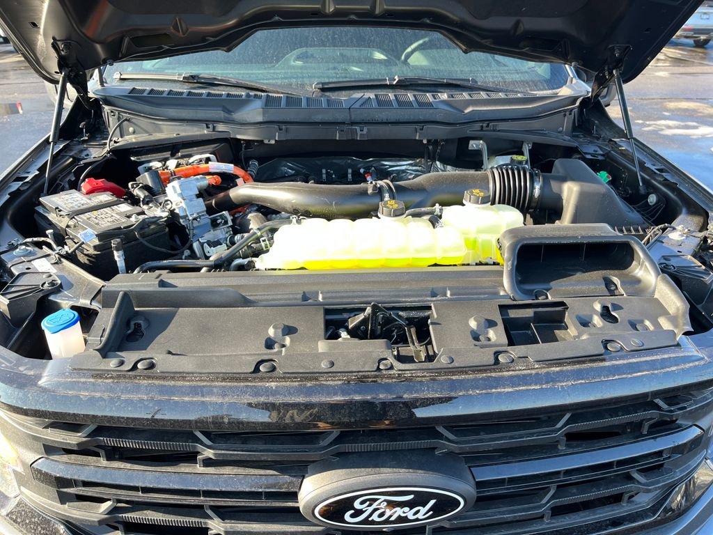 New 2025 Ford F150 XLT w/ Equipment Group 302A MID image 22
