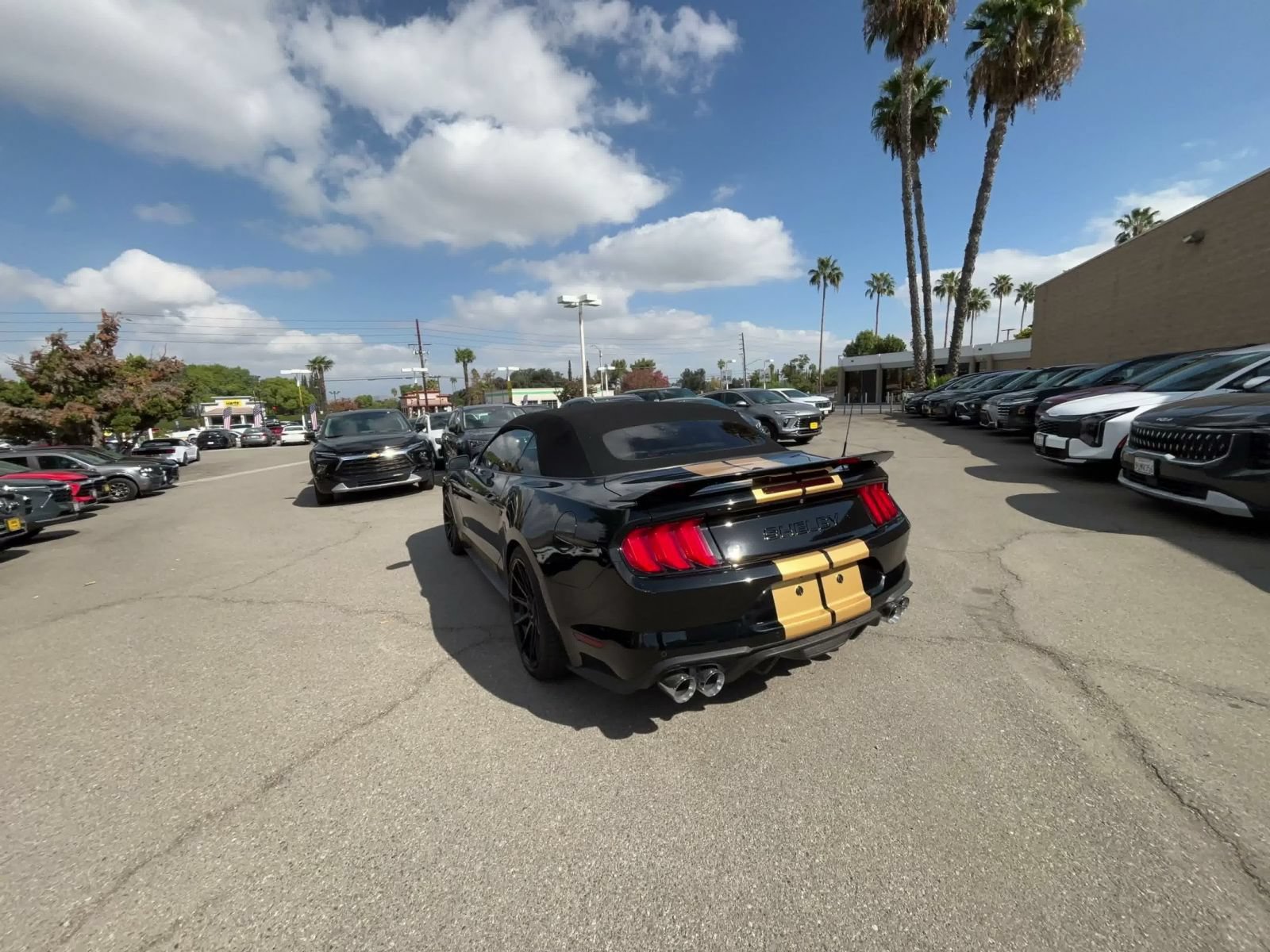 Used 2022 Ford Mustang GT Premium w/ GT Performance Package RWD image 10