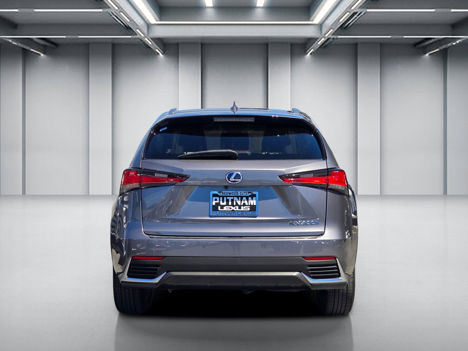 Used 2020 Lexus NX 300h AWD w/ Premium Package image 6